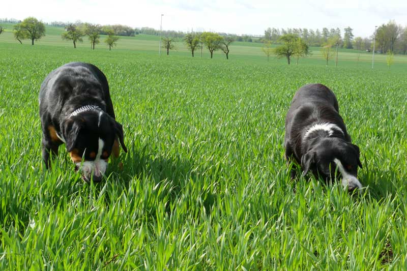 776x508 pixels (189K)