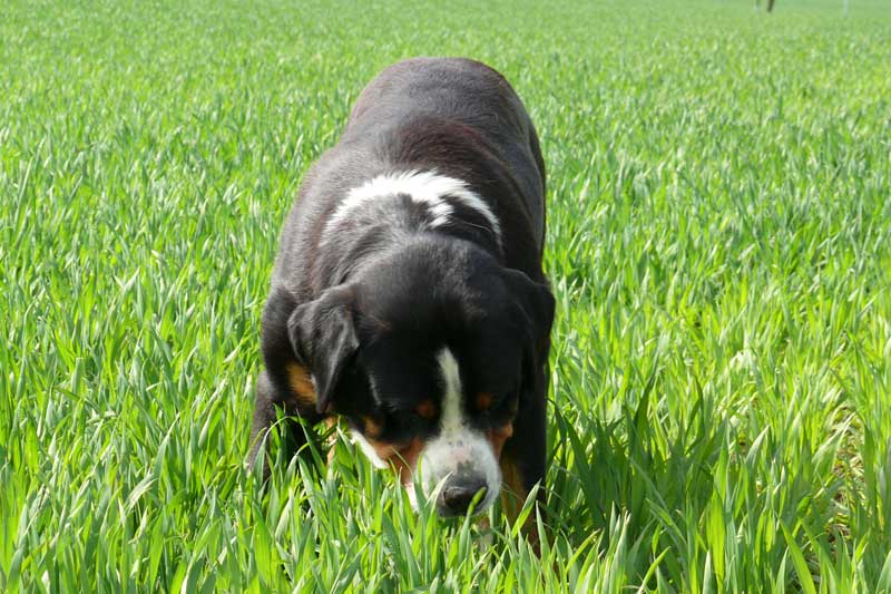 776x508 pixels (180K)