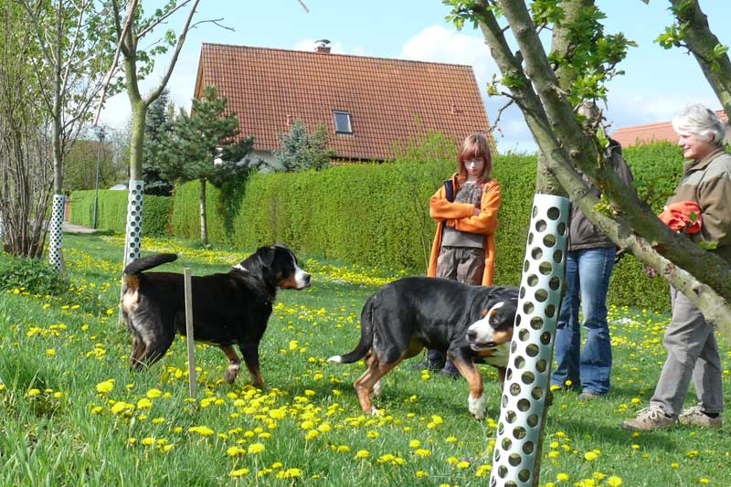 776x508 pixels (217K)