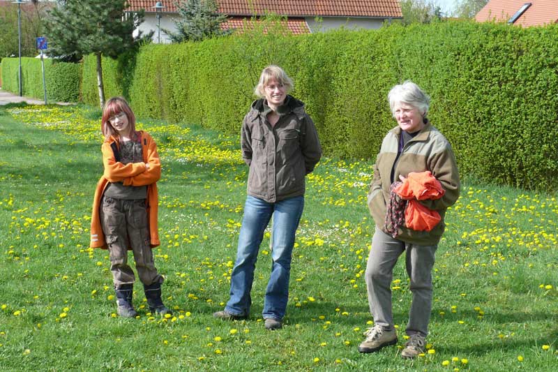 776x508 pixels (231K)