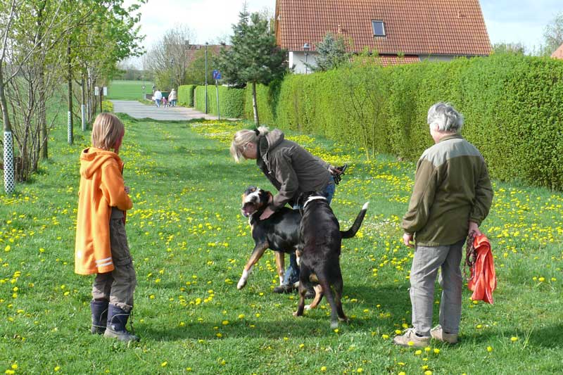 776x508 pixels (220K)