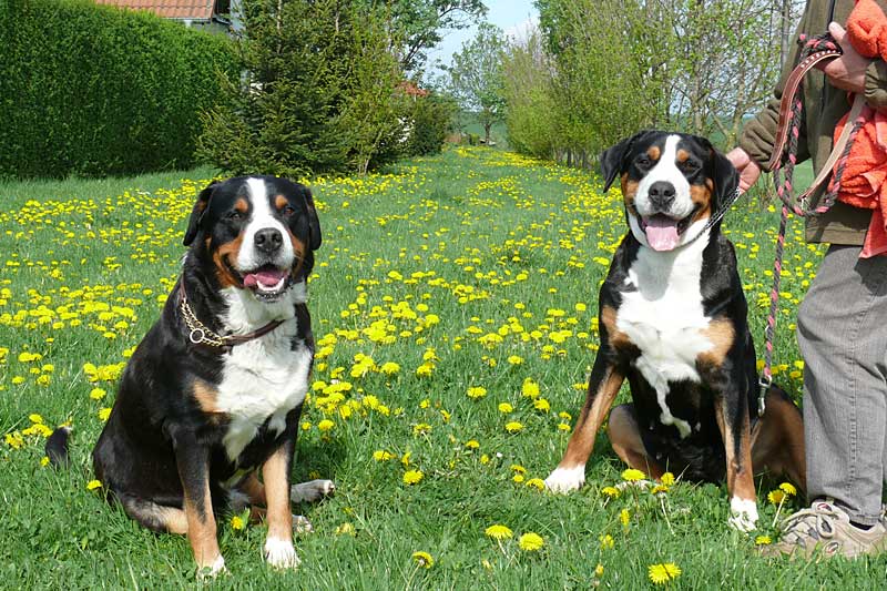 776x508 pixels (249K)