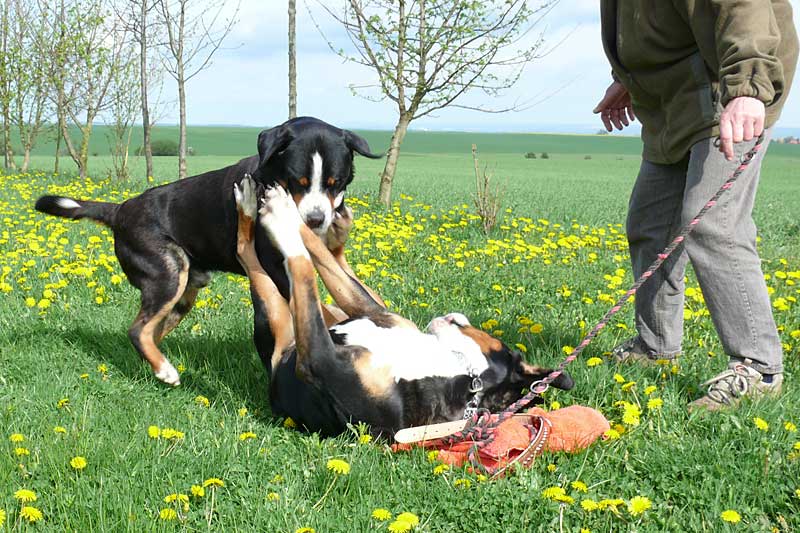 776x508 pixels (220K)