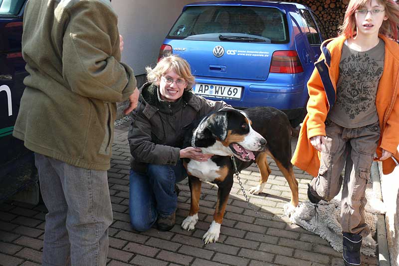 776x508 pixels (145K)