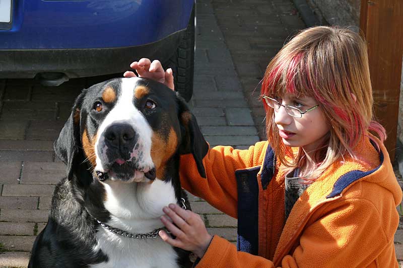 776x508 pixels (127K)