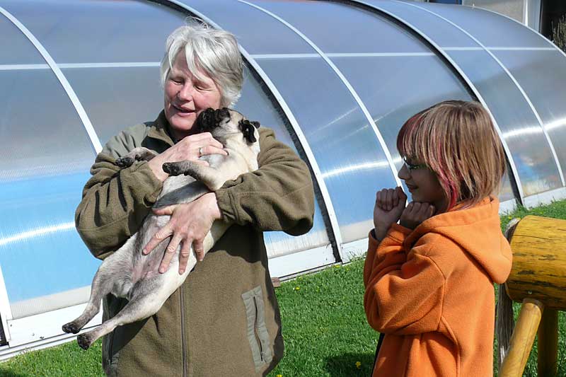 776x508 pixels (133K)