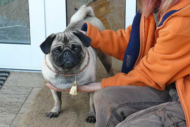 776x508 pixels (142K)