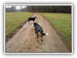 SAM_0035