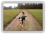 SAM_0037