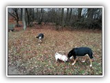 SAM_0039