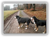 SAM_0041