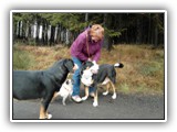 SAM_0047