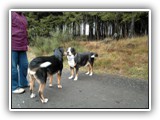 SAM_0049