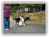 SAM_0050