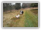 SAM_0052