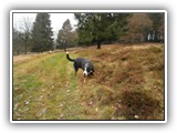 SAM_0053