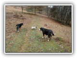 SAM_0055