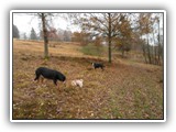 SAM_0057