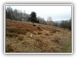 SAM_0061