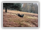 SAM_0062