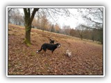 SAM_0068