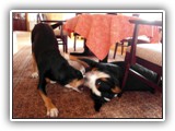 SAM_0072