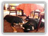SAM_0075
