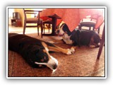 SAM_0076