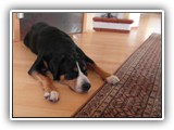 SAM_0077