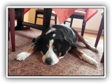 SAM_0078