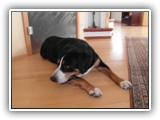 SAM_0080