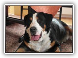 SAM_0083