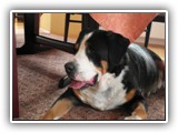 SAM_0084