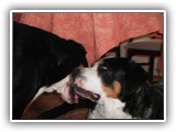 SAM_0085