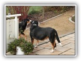 SAM_0086