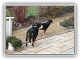 SAM_0090