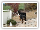 SAM_0091
