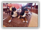 SAM_0092