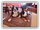 SAM_0093