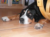 SAM_0854