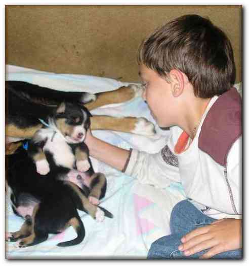 468x499 pixels (87K)