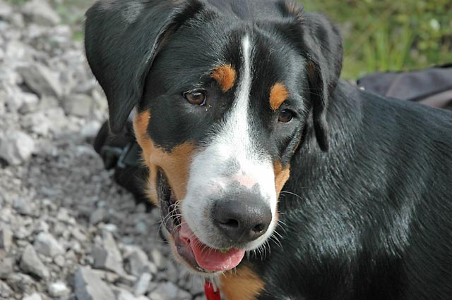 616x401 pixels (91K)