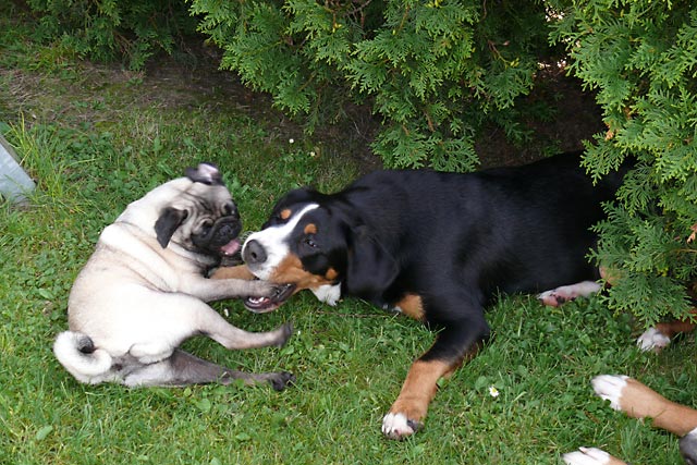 616x402 pixels (153K)