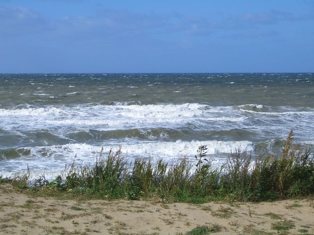 616x455 pixels (111K)