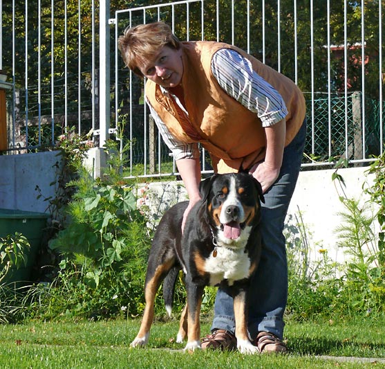 533x508 pixels (180K)