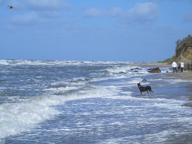 616x455 pixels (90K)