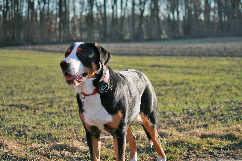 776x508 pixels (156K)