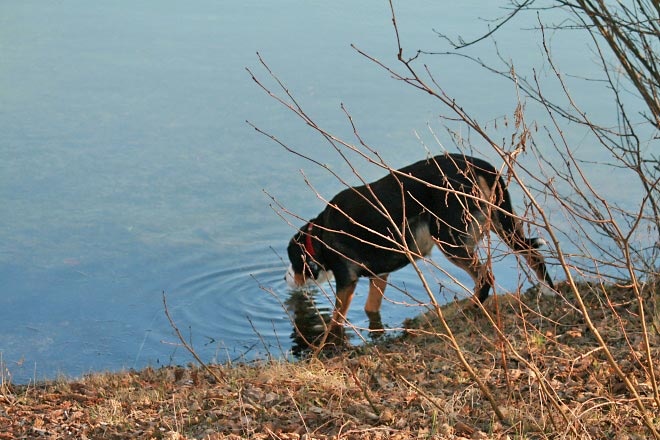 636x415 pixels (127K)