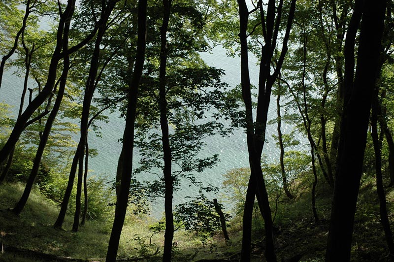 776x507 pixels (245K)