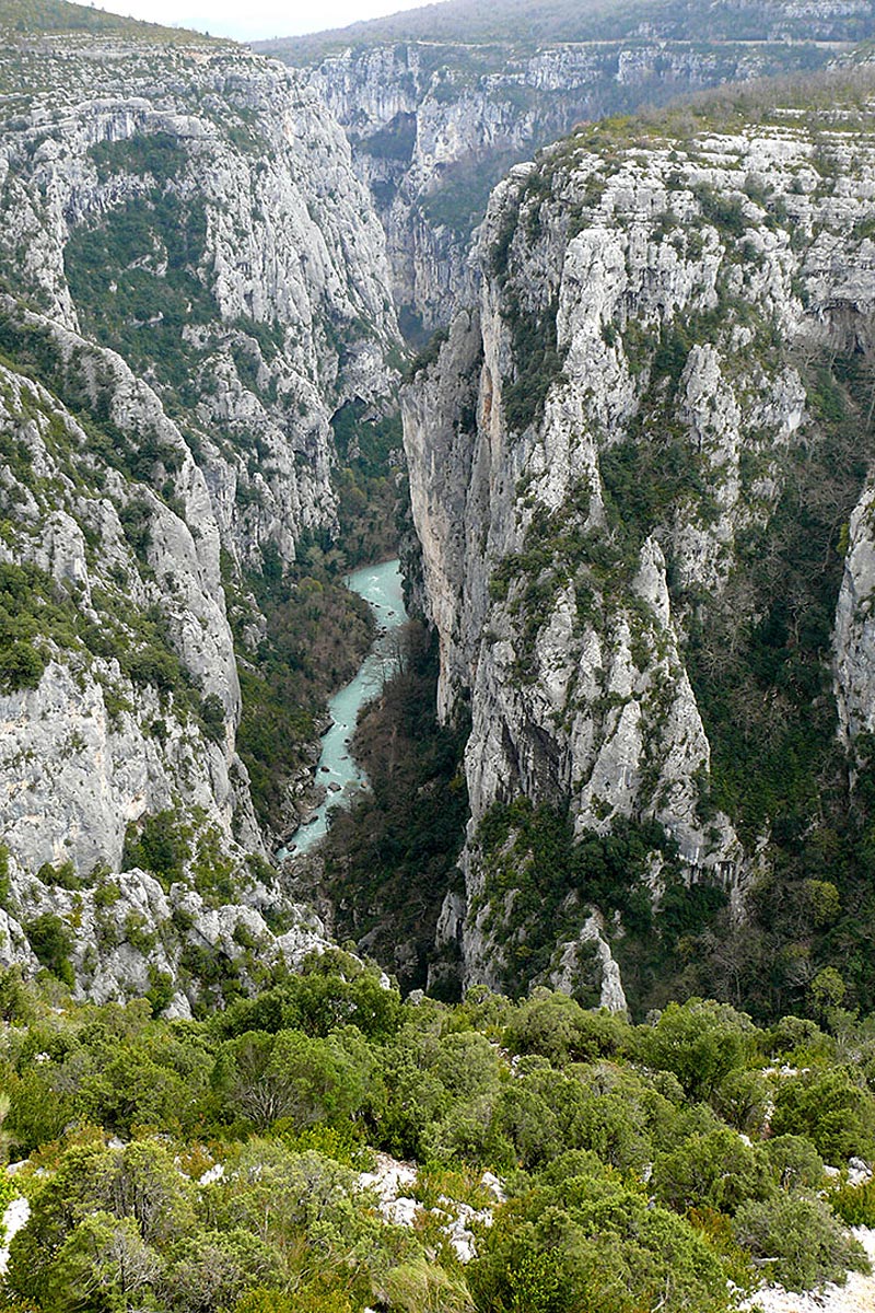 776x1175 pixels (619K)